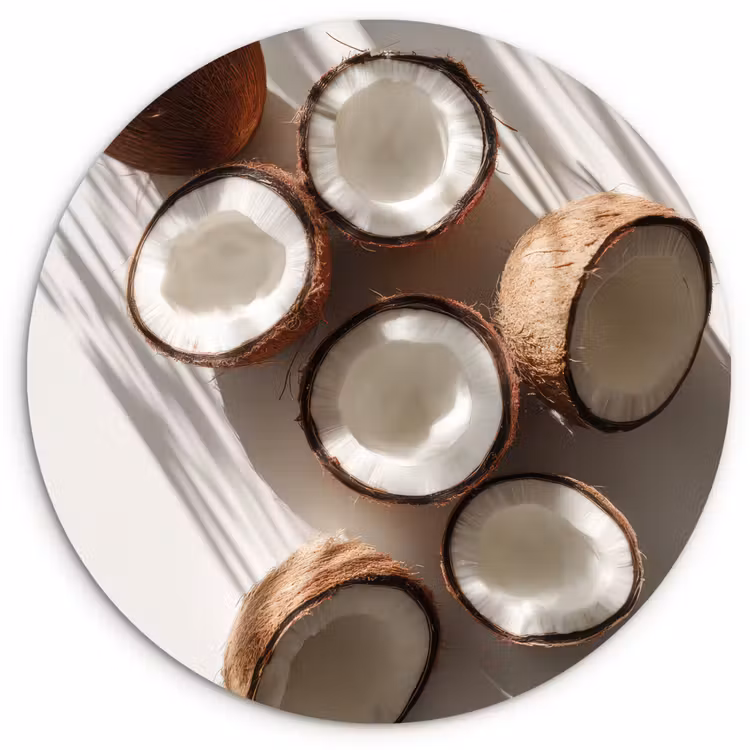 Kokosnoten - Bruin - Shaduw Wandcirkel kunststof plaat 5mm dik klein -3d