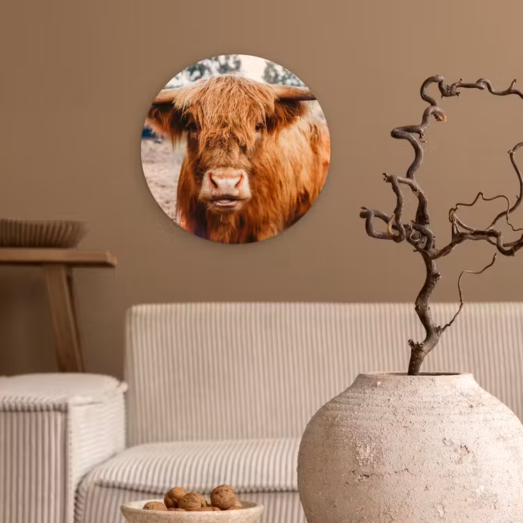 Koe- Schotse hooglander - Hoorns - Bruin - Landschap Wandcirkel kunststof plaat 5mm dik klein -sfeer1