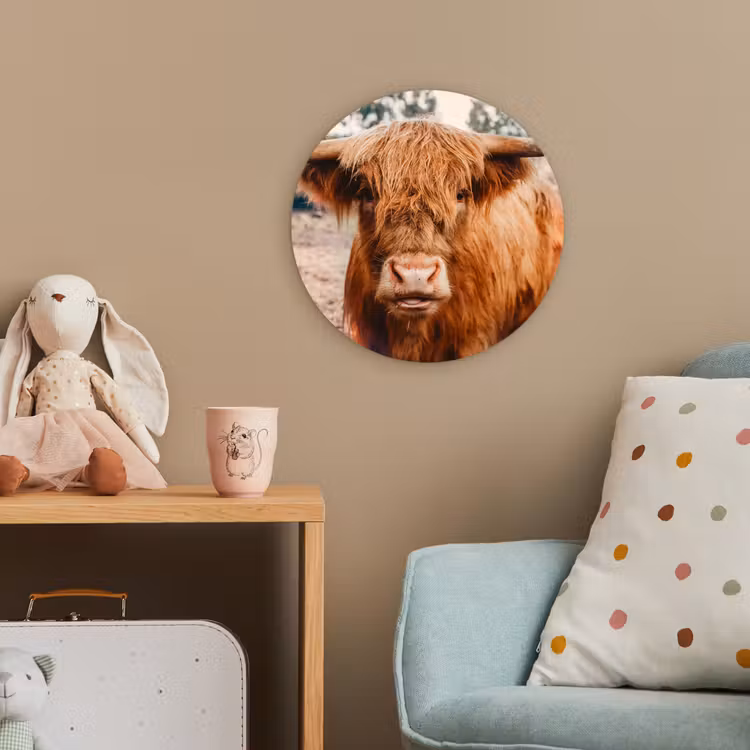 Koe- Schotse hooglander - Hoorns - Bruin - Landschap Wandcirkel kunststof plaat 5mm dik klein -tsfeer1_kind