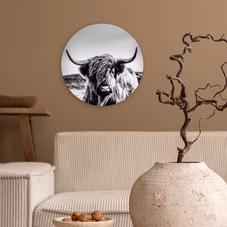 Koe - Schotse hooglander - Zwart - Wit - Dier - Natuur - Wild Wandcirkel kunststof plaat 5mm dik klein -sfeer1