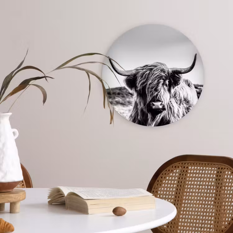 Koe - Schotse hooglander - Zwart - Wit - Dier - Natuur - Wild Wandcirkel kunststof plaat 5mm dik klein -sfeer4