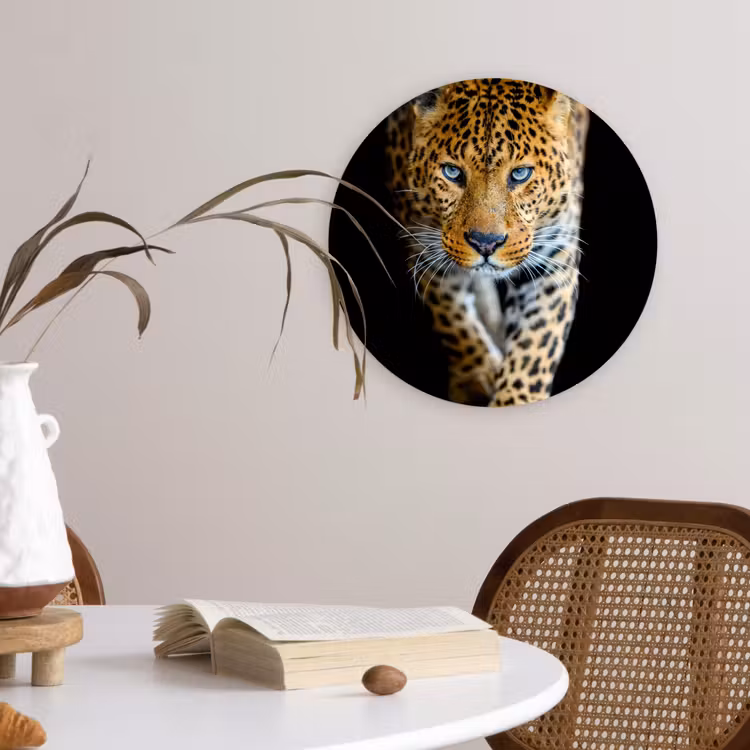 Luipaard - Dieren - Portret - Wilde dieren - Zwart Wandcirkel kunststof plaat 5mm dik klein -sfeer4
