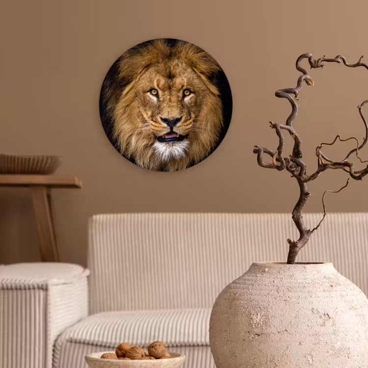 Leeuw - Portret - Zwart - Dieren Wandcirkel kunststof plaat 5mm dik klein -sfeer1