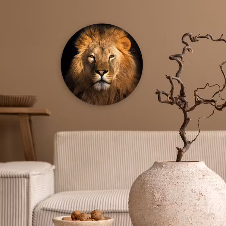 Leeuw - Dieren - Zwart - Licht - Bruin - Portret Wandcirkel kunststof plaat 5mm dik klein -sfeer1