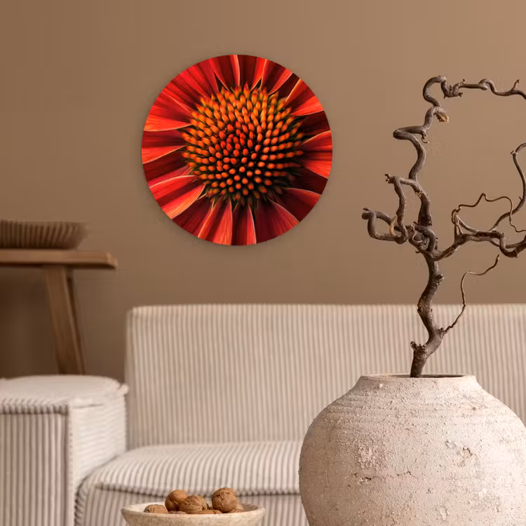 Close up - Bloem- Rood Wandcirkel kunststof plaat 5mm dik klein -sfeer1