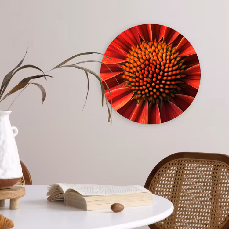 Close up - Bloem- Rood Wandcirkel kunststof plaat 5mm dik klein -sfeer4