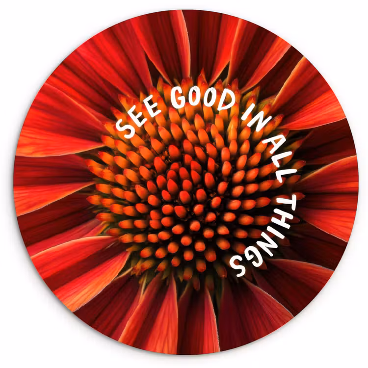 Close up - Bloem - Quote - Rood Wandcirkel kunststof plaat 5mm dik klein -3d