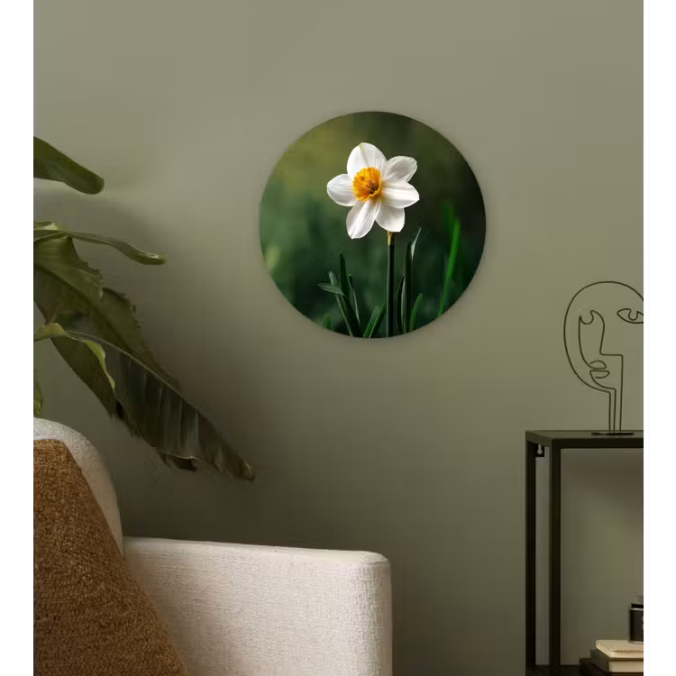 Narcis - Bloem - Wit - Grassprieten Wandcirkel kunststof plaat 5mm dik klein -sfeer3