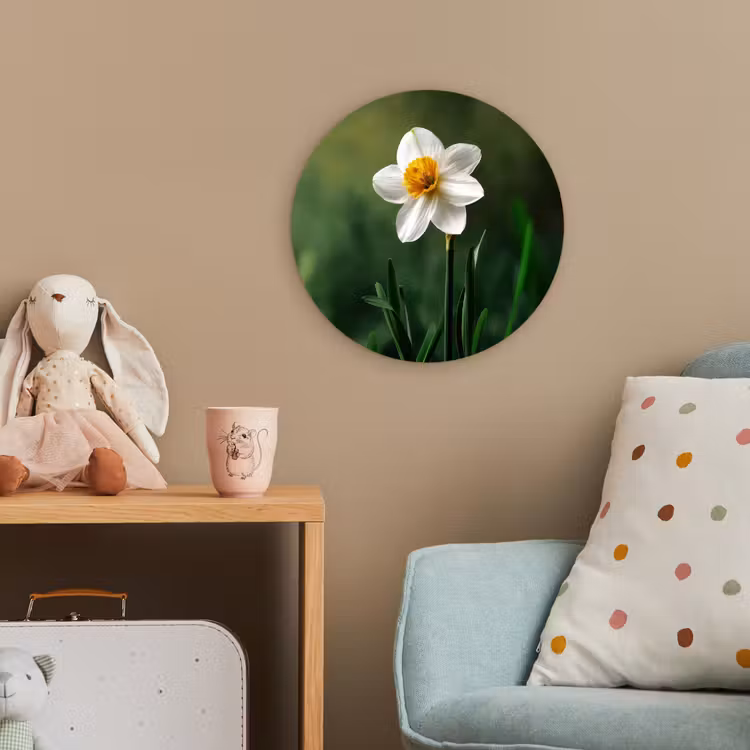Narcis - Bloem - Wit - Grassprieten Wandcirkel kunststof plaat 5mm dik klein -tsfeer1_kind