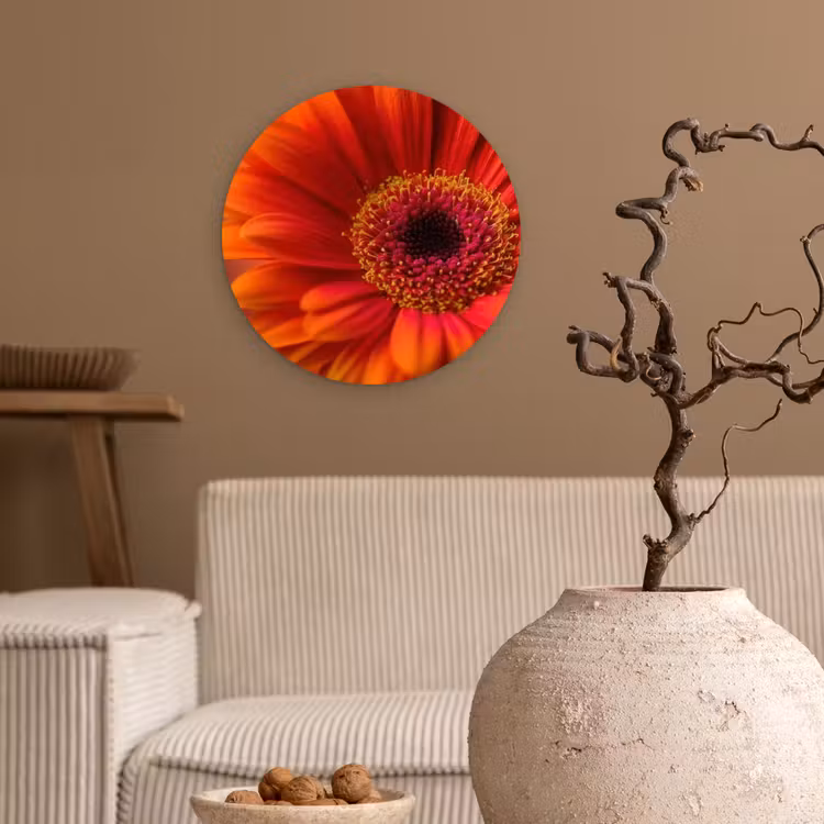 Oranje - Gerbera - Intens Wandcirkel kunststof plaat 5mm dik klein -sfeer1