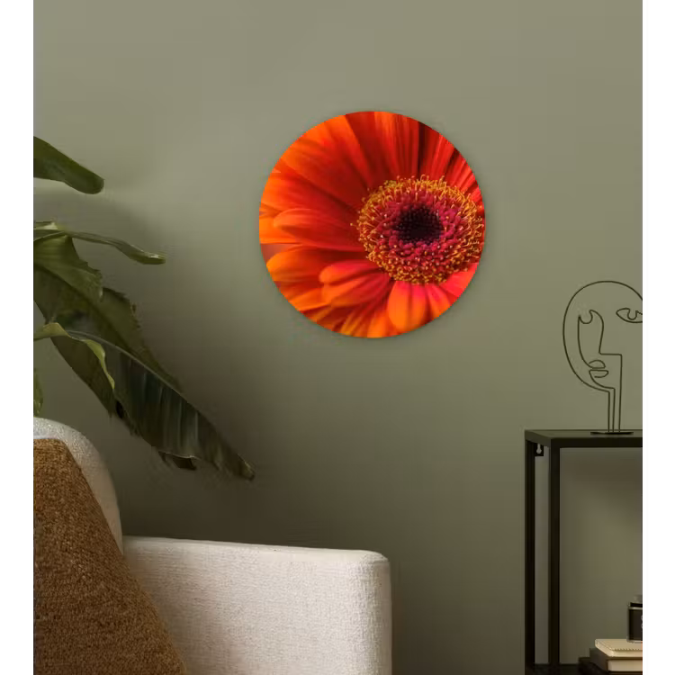 Oranje - Gerbera - Intens Wandcirkel kunststof plaat 5mm dik klein -sfeer3