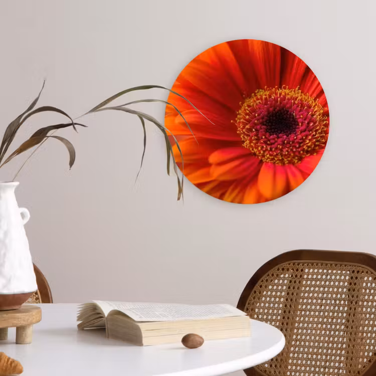Oranje - Gerbera - Intens Wandcirkel kunststof plaat 5mm dik klein -sfeer4