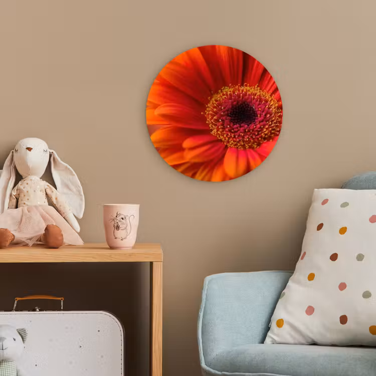 Oranje - Gerbera - Intens Wandcirkel kunststof plaat 5mm dik klein -tsfeer1_kind
