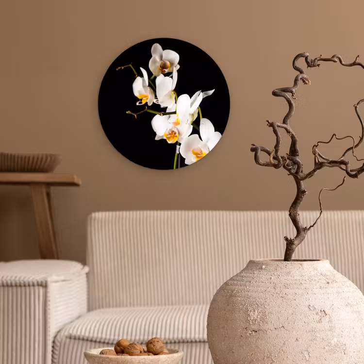 Orchidee - Bloemen - Planten - Botanisch Wandcirkel kunststof plaat 5mm dik klein -sfeer1