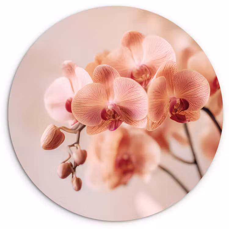 Orchidee - Bloemen - Roze - Bloemblaadjes Wandcirkel kunststof plaat 5mm dik klein -3d
