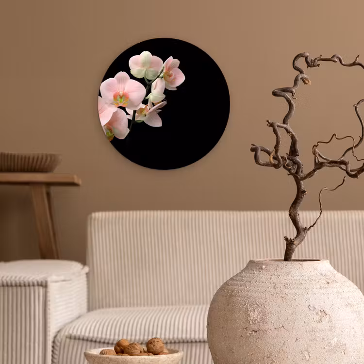 Orchidee - Bloemen - Roze - Stilleven - Flora Wandcirkel kunststof plaat 5mm dik klein -sfeer1