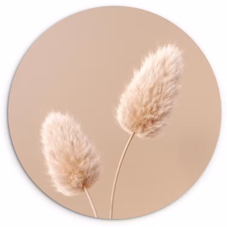 Pampas pluimen - Beige - Planten Wandcirkel kunststof plaat 5mm dik klein -3d