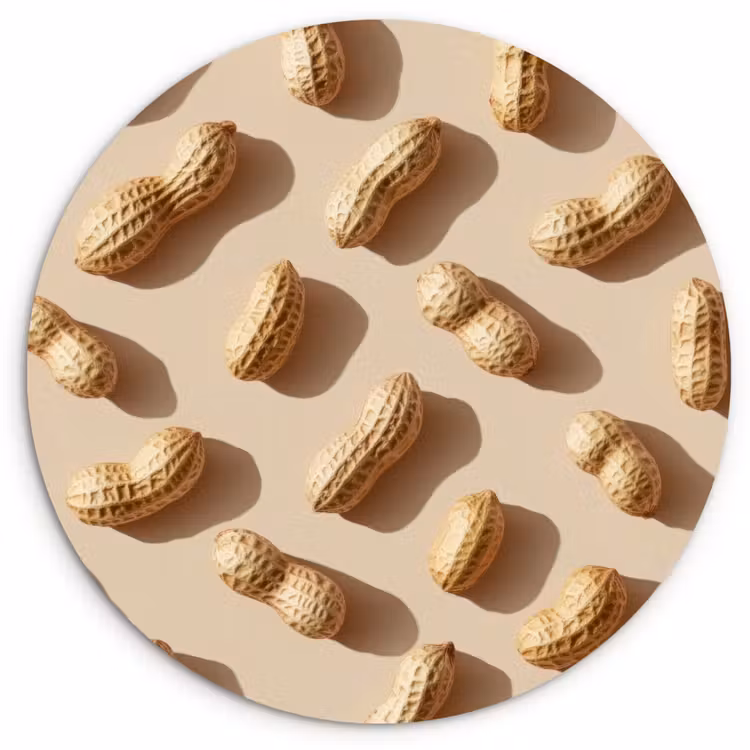 Pinda's - Patroon - Beige Wandcirkel kunststof plaat 5mm dik klein -3d
