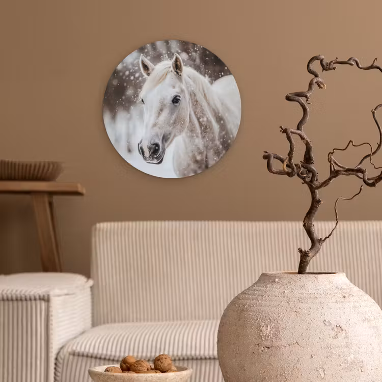 Paard - Wit - Winter - Natuur - Sneeuw - Dieren Wandcirkel kunststof plaat 5mm dik klein -sfeer1