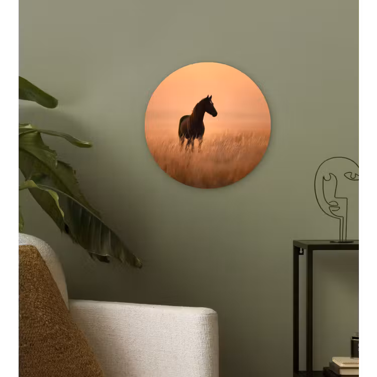 Paard - Grasveld - Zonsondergang Wandcirkel kunststof plaat 5mm dik klein -sfeer3