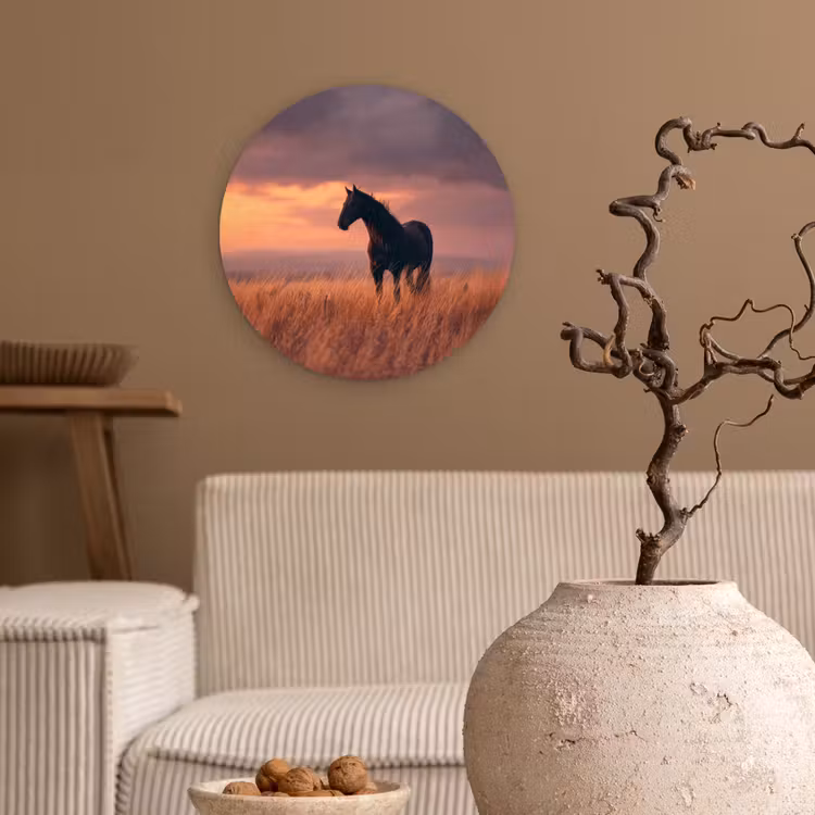 Paard - Wolken - Open veld Wandcirkel kunststof plaat 5mm dik klein -sfeer1