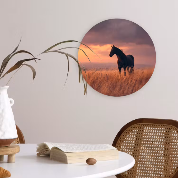 Paard - Wolken - Open veld Wandcirkel kunststof plaat 5mm dik klein -sfeer4