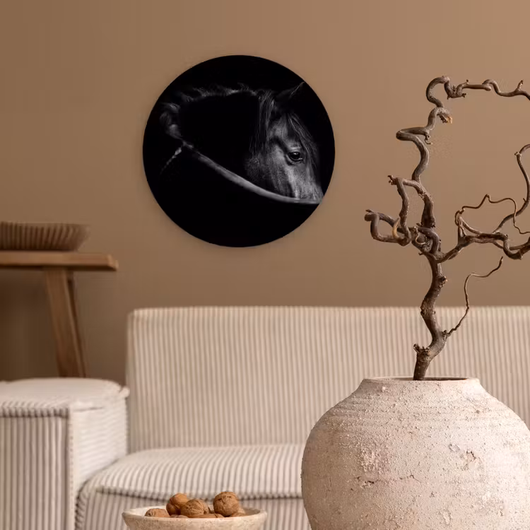 Paarden - Portret - Zwart - Dieren Wandcirkel kunststof plaat 5mm dik klein -sfeer1