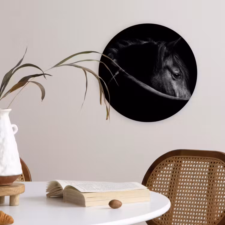 Paarden - Portret - Zwart - Dieren Wandcirkel kunststof plaat 5mm dik klein -sfeer4