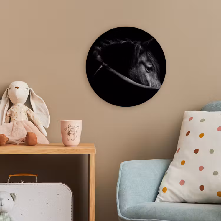 Paarden - Portret - Zwart - Dieren Wandcirkel kunststof plaat 5mm dik klein -tsfeer1_kind