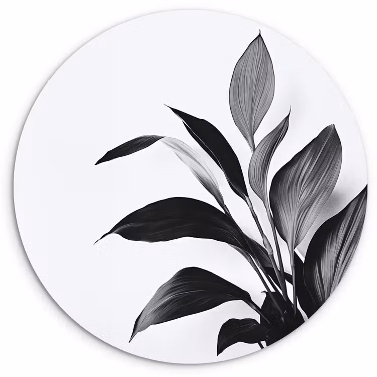 Plant - Bladeren - Minimalistisch - Zwart Wandcirkel kunststof plaat 5mm dik klein -3d