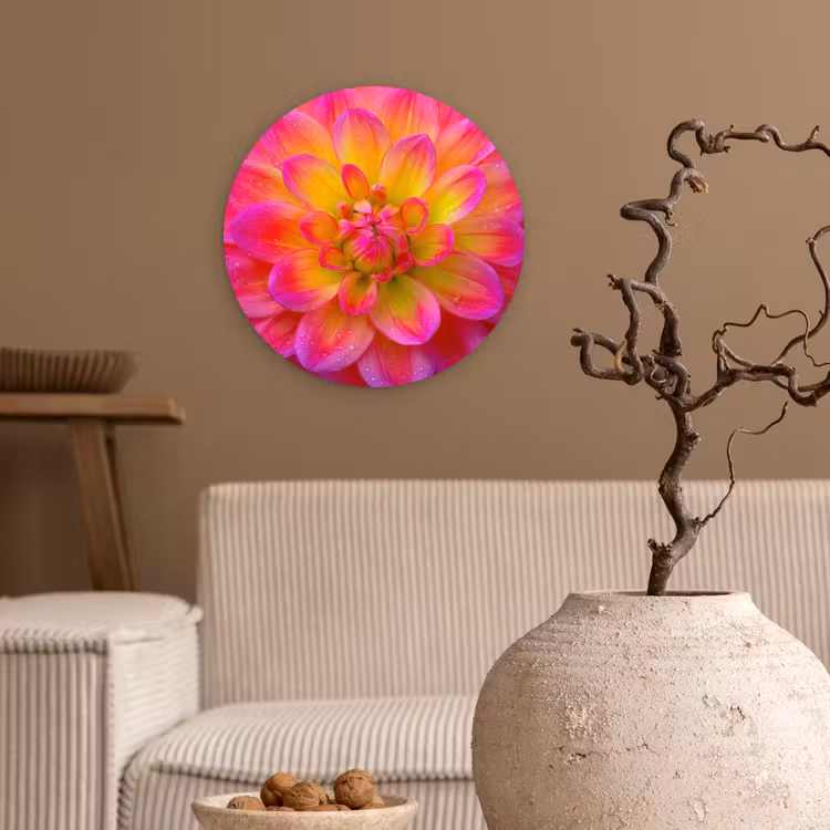 Roze - Dahlia - Kleurrijk Wandcirkel kunststof plaat 5mm dik klein -sfeer1