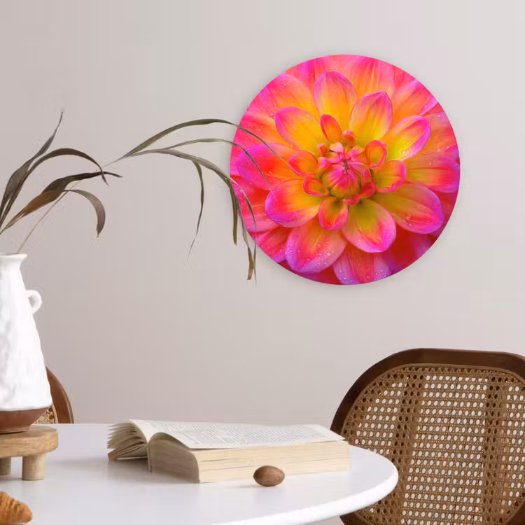 Roze - Dahlia - Kleurrijk Wandcirkel kunststof plaat 5mm dik klein -sfeer4