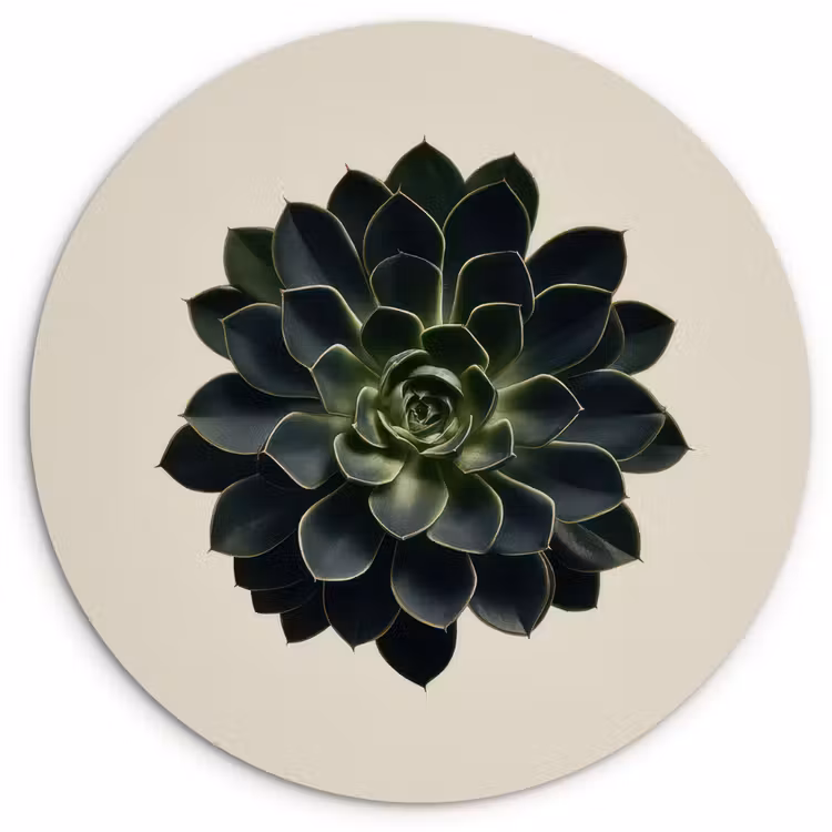 Rozet - Cirkelvormig - Donkergroen Wandcirkel kunststof plaat 5mm dik klein -3d