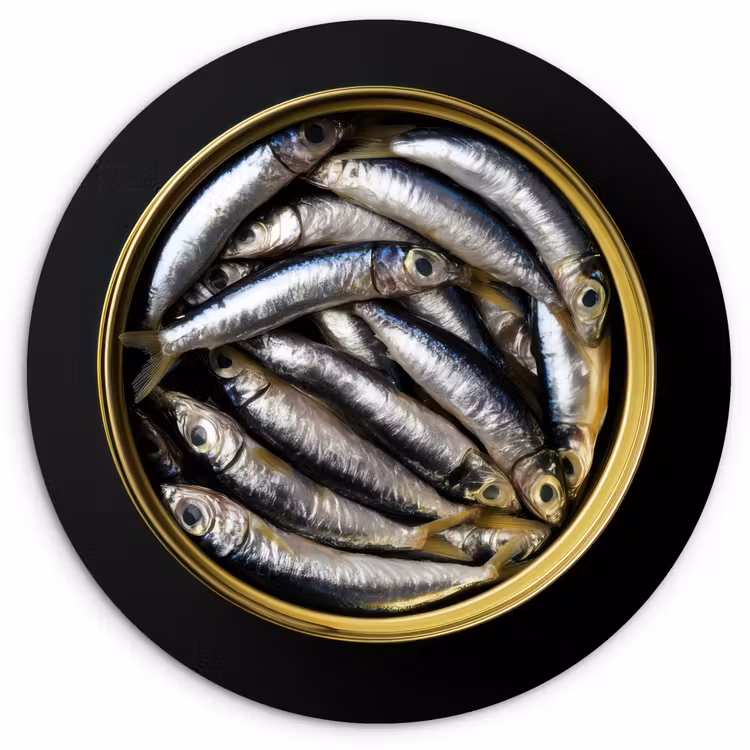 Sardines - Vissen - Rond - Zwart Wandcirkel kunststof plaat 5mm dik klein -3d