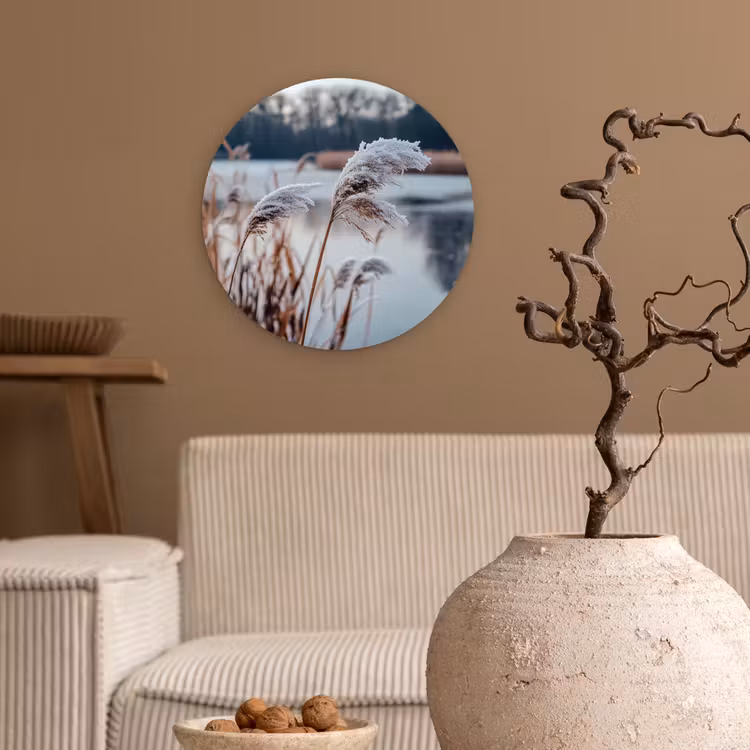 Riet - Gras - Natuur - Winter - Meer Wandcirkel kunststof plaat 5mm dik klein -sfeer1