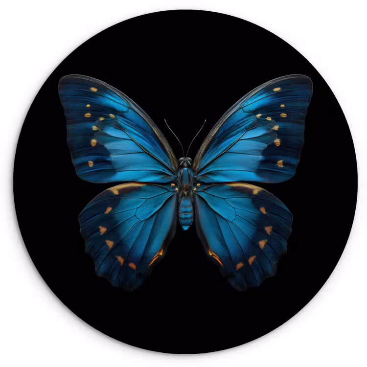 Vlinder - Blauw - Contrast Wandcirkel kunststof plaat 5mm dik klein -3d