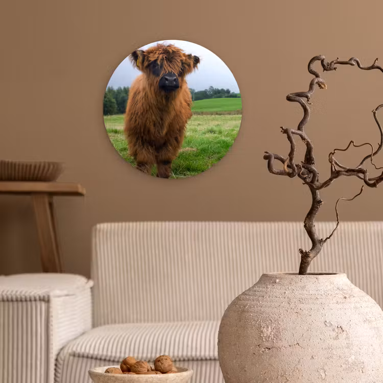 Schotse hooglander - Koeien - Natuur - Groen - Gras Wandcirkel kunststof plaat 5mm dik klein -sfeer1