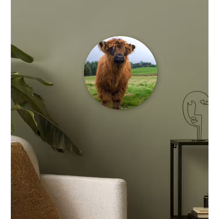 Schotse hooglander - Koeien - Natuur - Groen - Gras Wandcirkel kunststof plaat 5mm dik klein -sfeer3