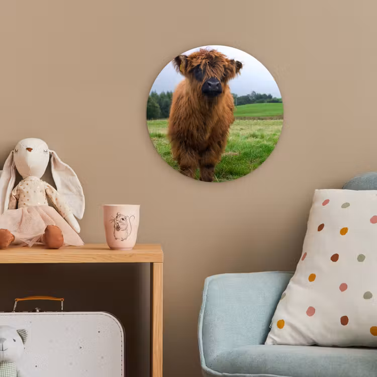Schotse hooglander - Koeien - Natuur - Groen - Gras Wandcirkel kunststof plaat 5mm dik klein -tsfeer1_kind