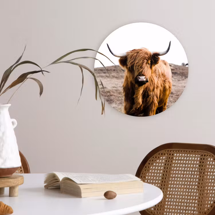 Schotse hooglander - Landschap - Koe - Bruin - Dieren - Natuur Wandcirkel kunststof plaat 5mm dik klein -sfeer4