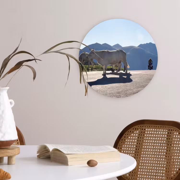 Schotse hooglander - Licht - Berg - Natuur Wandcirkel kunststof plaat 5mm dik klein -sfeer4