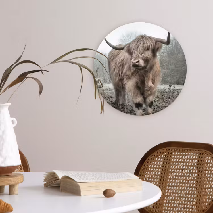 Schotse hooglander - Natuur - Herfst - Dieren - Wild - Bos Wandcirkel kunststof plaat 5mm dik klein -sfeer4