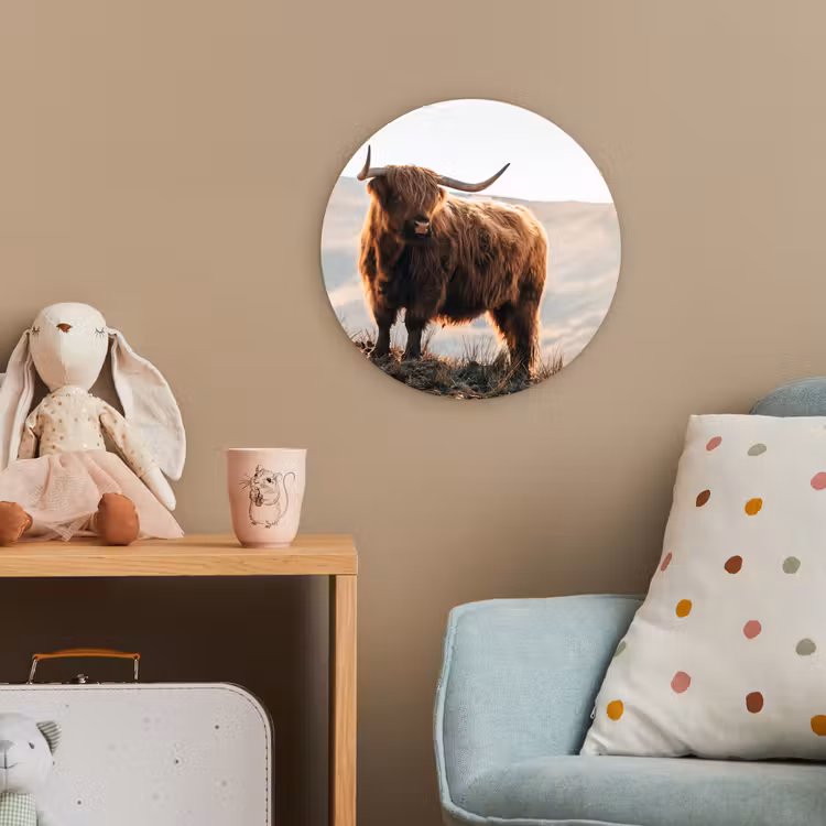 Schotse hooglander - Dieren - Landelijk - Landschap - Koe - Natuur Wandcirkel kunststof plaat 5mm dik klein -tsfeer1_kind