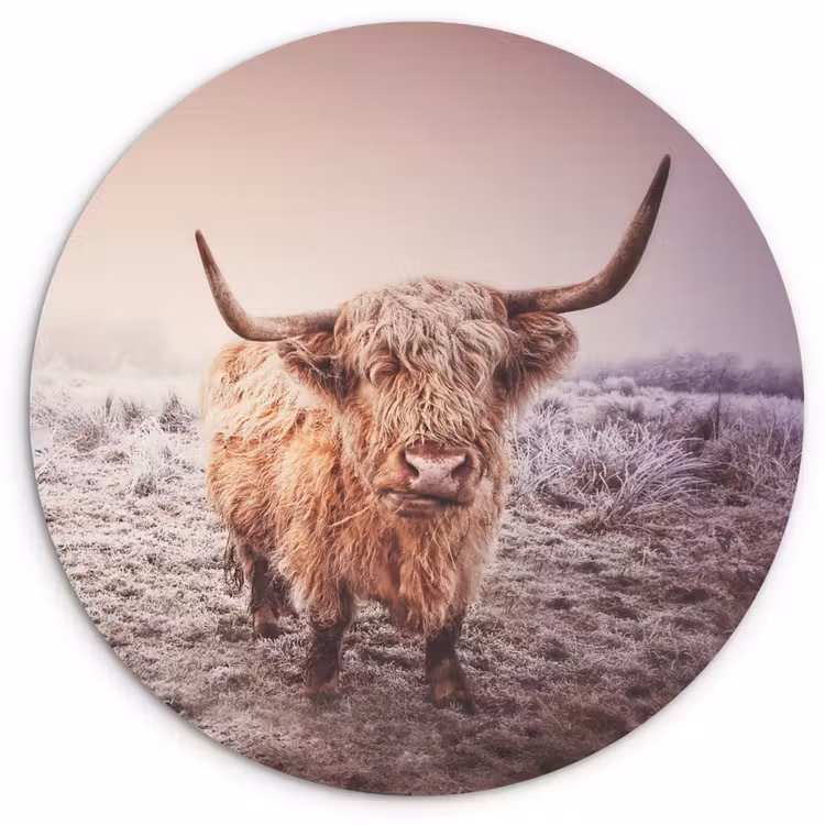 Schotse hooglanders - Licht - Lucht - Natuur Wandcirkel kunststof plaat 5mm dik klein -3d