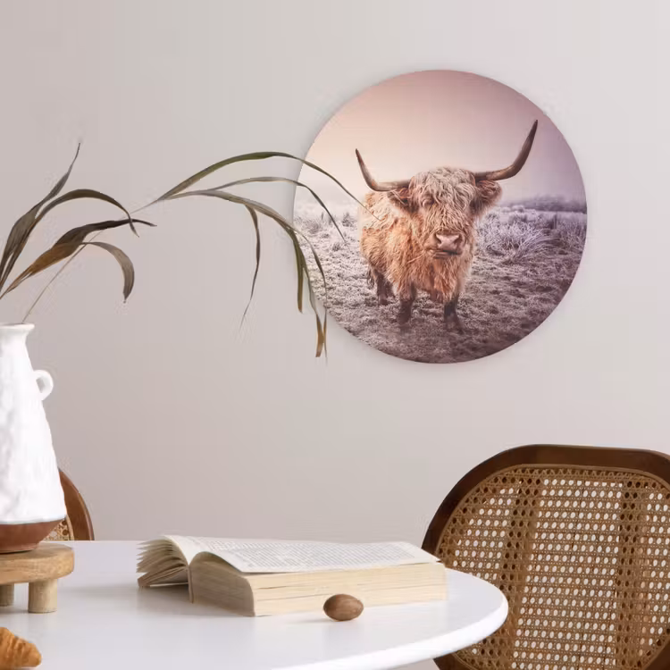 Schotse hooglanders - Licht - Lucht - Natuur Wandcirkel kunststof plaat 5mm dik klein -sfeer4