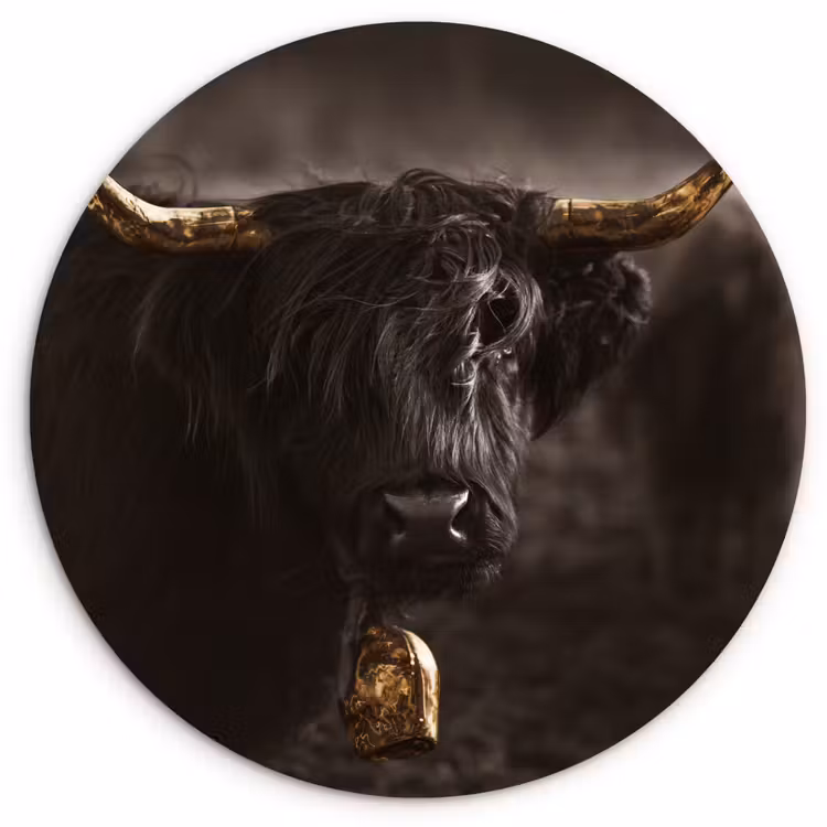 Schotse hooglander - Goud - Koebel - Hoorns - Dieren Wandcirkel kunststof plaat 5mm dik klein -3d