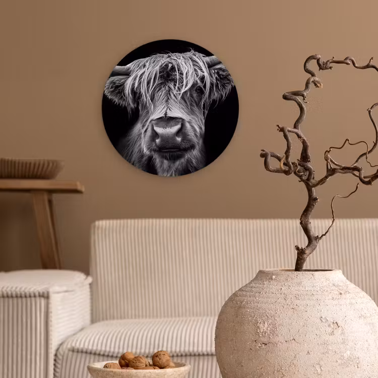 Schotse Hooglander - Horens - Zwart - Wit - Koe - Wild - Dieren Wandcirkel kunststof plaat 5mm dik klein -sfeer1