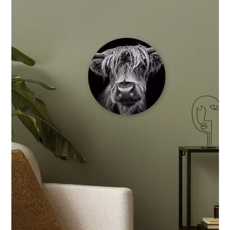 Schotse Hooglander - Horens - Zwart - Wit - Koe - Wild - Dieren Wandcirkel kunststof plaat 5mm dik klein -sfeer3