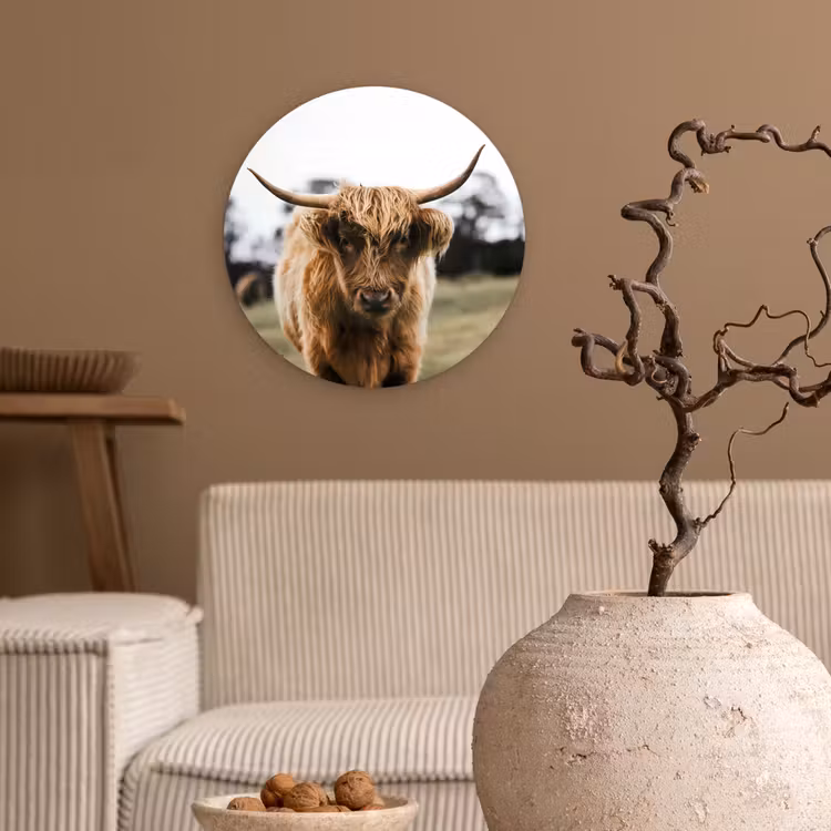 Schotse Hooglander - Koe - Gras - Dieren - Natuur Wandcirkel kunststof plaat 5mm dik klein -sfeer1