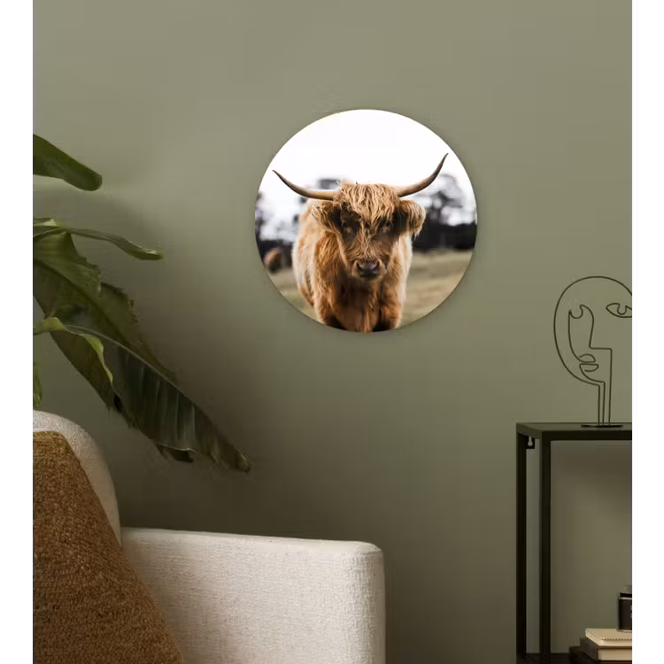 Schotse Hooglander - Koe - Gras - Dieren - Natuur Wandcirkel kunststof plaat 5mm dik klein -sfeer3